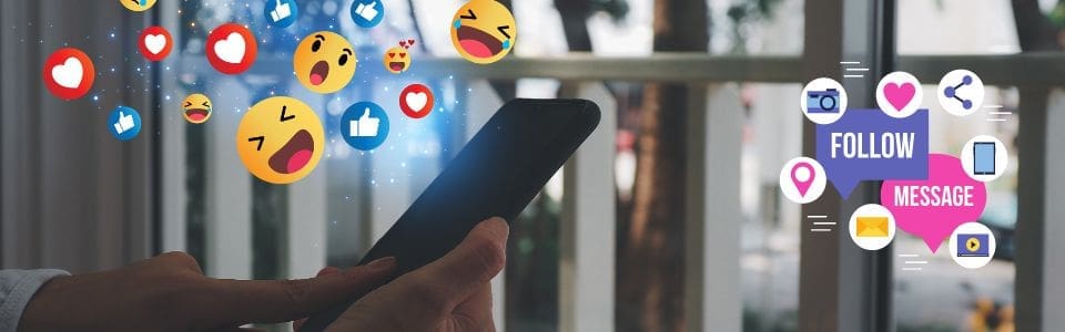 metricool social media management