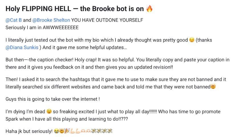 The brooke bot