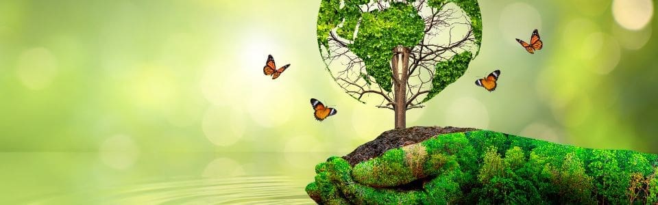 write about environmental issues